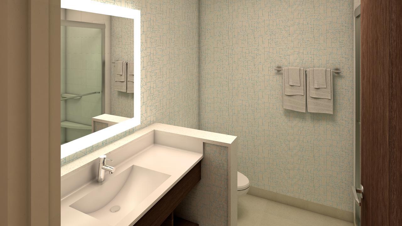 Holiday Inn Express & Suites Atlanta N - Woodstock By Ihg Bagian luar foto